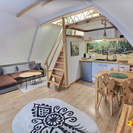 Ski Tour Apartments ザコパネ エクステリア 写真