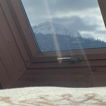 Ski Tour Apartments ザコパネ エクステリア 写真