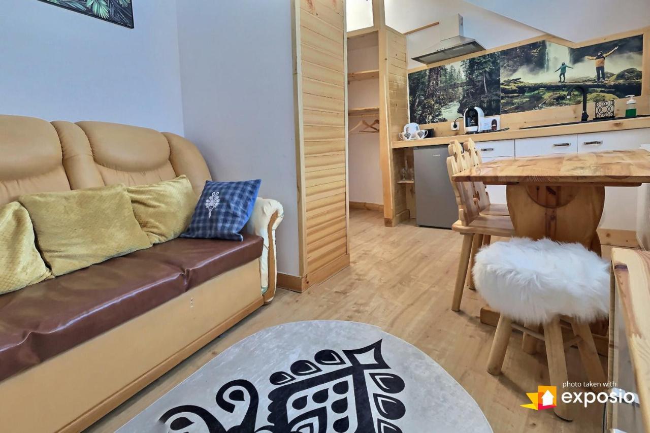 Ski Tour Apartments ザコパネ エクステリア 写真