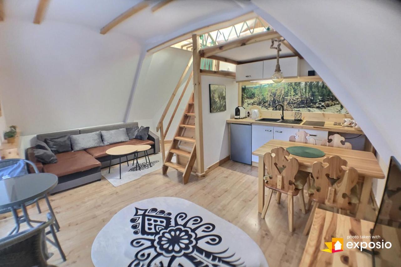 Ski Tour Apartments ザコパネ エクステリア 写真