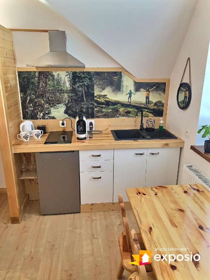 Ski Tour Apartments ザコパネ エクステリア 写真